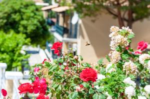 Apart Hotel Blumarin Corfu Greece