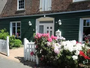 Olle Kolle - Solthörn