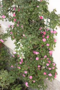Hotels Hotel Maitagaria : photos des chambres