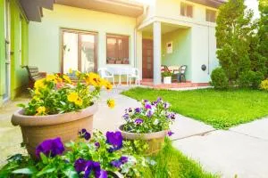 Apartmani Slavica - Motriće