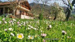 Chalet Coquelicot (Co-cli-co) relax in nature Achaia Greece