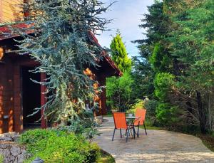 Luxury Wooden Villa with Pool, The Nest Corfu Greece