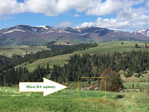 Шале на зарінку