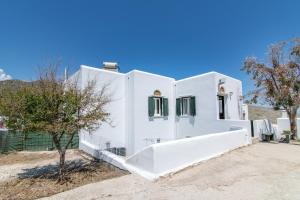 Villa Leiland Tinos Greece