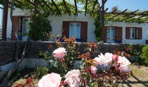 Nikoleta Studios Sifnos Sifnos Greece