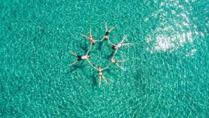 Alonissos beach villa 5 steps away from the sea