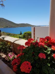 Alykes Studios Patmos Greece