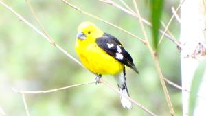 Departamentos Bellavista La Alborada Huaraz