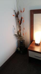 Family Hotel Bulgaria