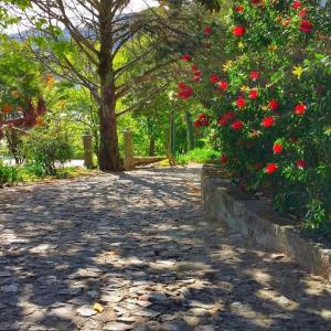 Quinta da Ermida - Turismo de Habitacao