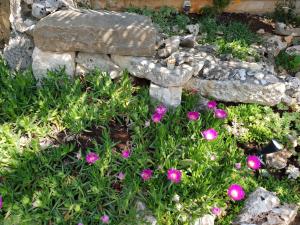 Luxury apartment Marin - Your summer paradise in Pomer, terrace, garden, summer kitchen with barbecue, near the beaches, Istria