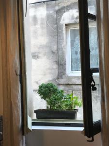 Appartements Studio de Charme a la Roquette : photos des chambres