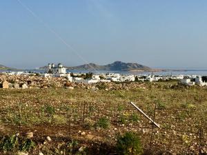 Cycladic House Paros Greece