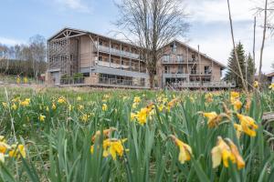 Hotels Hotel Interlaken Lounge Bar & Spa : photos des chambres