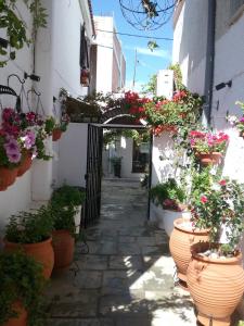 Mouria Hotel Skiathos Greece