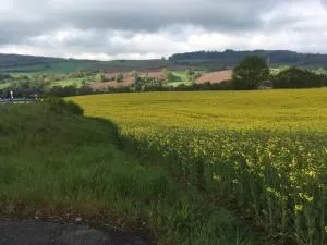 Kipsenblick - Possendorf