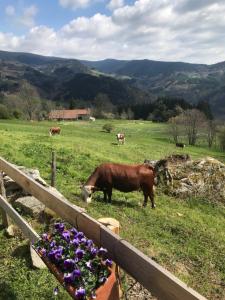 Maisons d'hotes la source d'en haut : photos des chambres