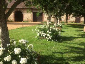 B&B / Chambres d'hotes La Ferme au colombier : photos des chambres