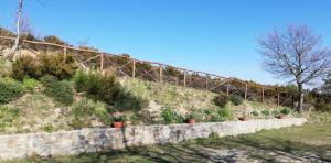 La Casa Gialla Belvedere