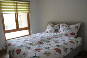 Stadl-Ferienwohnung - 格兰河畔圣法伊特