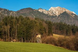 Little dream house in a perfect spot