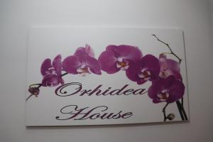 Orhidea House