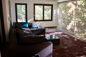 Three Pines Cottage on Stark Conde