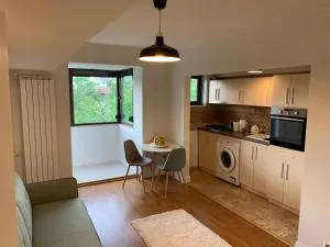 Floreasca Apartment Bach - Floreasca