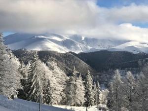 Pensiunea Montana Muntele Mic