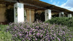 Masseria LAntico Frantoio