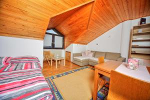 Apartment Viki 