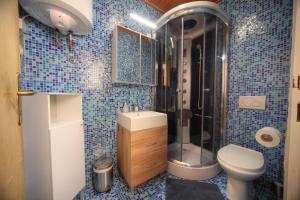Apartment Viki 