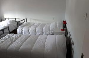 Edelweiss Hostel