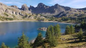 Appart'hotels Les Terrasses de Labrau- les chalets du Verdon : photos des chambres