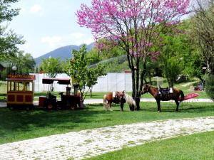 Ninemia Stay and Play Euritania Greece