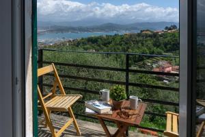 Gli ulivi sul Golfo e le 5 terre