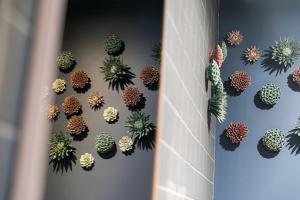 Hotels Hotel Kaijoo by HappyCulture : photos des chambres