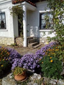 Srebren Rural House