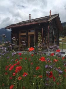 Pension Mountain Lodge: Mayen de charme Nendaz Schweiz