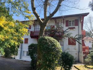 2 stern appartement Studio Le Moulleau à 100 mètres de la plage Arcachon Frankreich