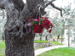 House Christie Thassos Greece