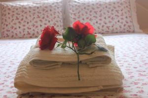 *Villa Pap-Live the Greek hospitality in a village*