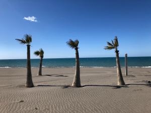 El Balcón de Rosita