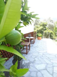Studios Thea Fresh Rooms Thassos Thassos Greece