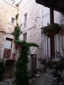 Il rifugio del conte