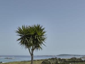 Maria Seaview Villa Paros Greece