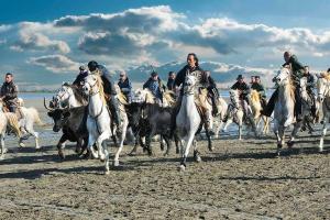 Hotels Hotel Le Neptune en Camargue : photos des chambres