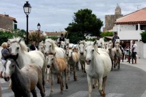 Hotels Hotel Le Neptune en Camargue : photos des chambres