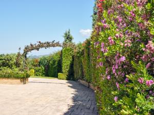 Palm Luxury Villa Zakynthos Greece