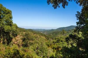 Casas do Vale da Rainha